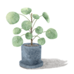 Rochester Myofunctional Therapy